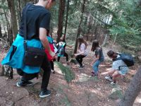 img 20180919 140840 (copy)